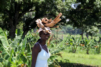 Young woman carrying firewood Haiti