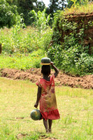 Malawian girl carrying food