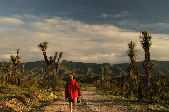 Hiker in desert mexico