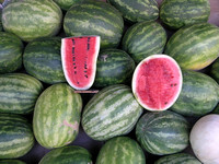 Watermelon Geometric Pattern