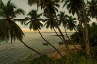 Palms, boat and seashore, Dominican Republic