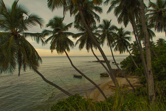 Palms, boat and seashore, Dominican Republic