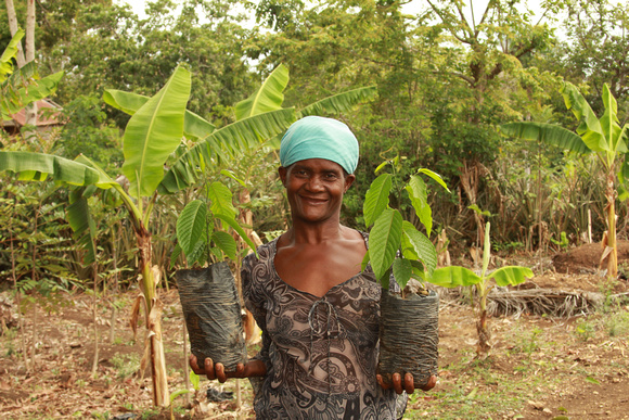 Woman showing tree seedlings in Haiti
