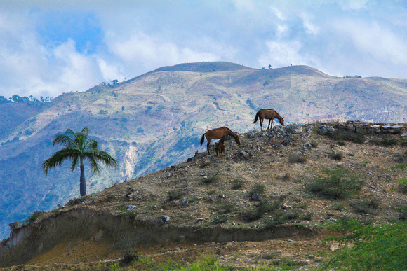 Haiti, IMG_3580