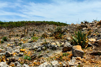 Eroded hillside Haiti