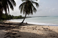 Beach Fort Salut Haiti