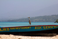 Boat on beach with Heron