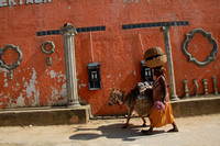 Woman, donkey walking by pay phones