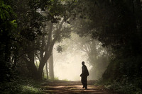 Boy walking in mist Malawi