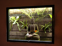 Buddha Bali